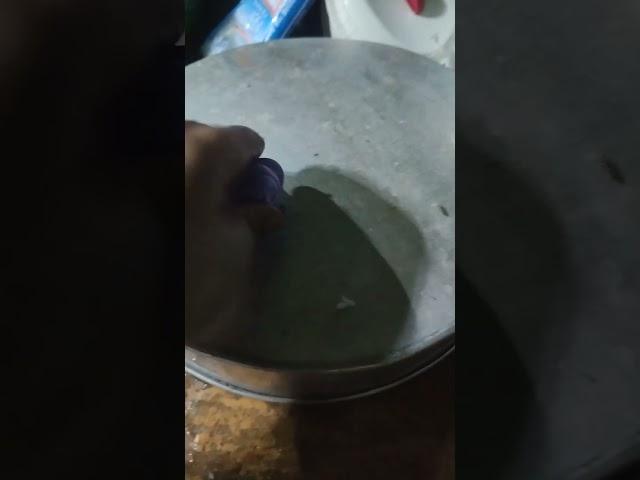 my mold