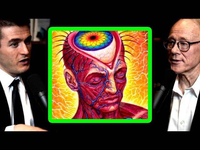 What taking Ayahuasca is like | Graham Hancock and Lex Fridman