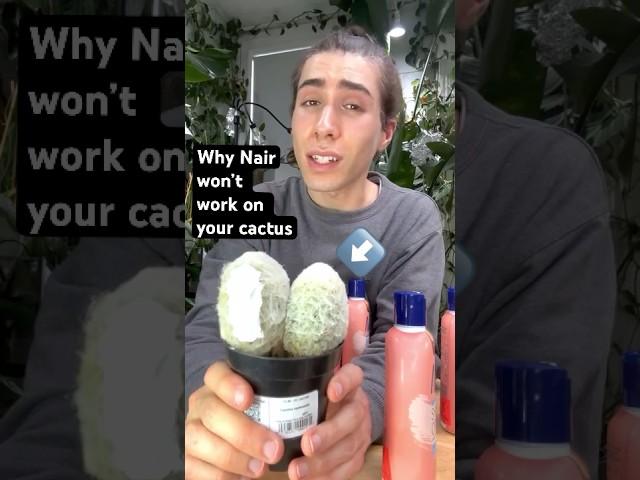 Why Nair Doesn’t Work on Plant Hair #cactus #succulent #hairremoval #houseplants #nair #plants