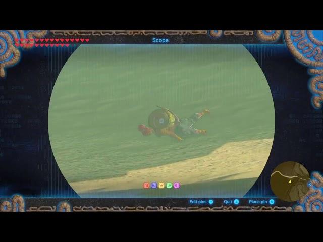 gerudo just wanna have fun