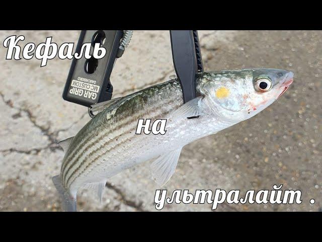 Кефаль на ультралайт.