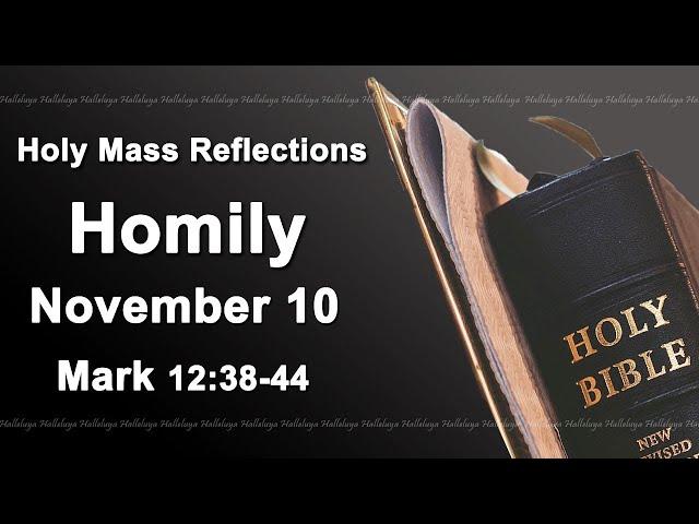 Homily Sunday November 10 2024 I Catholic Mass Daily Reading And Reflections I Mark 12:38-44