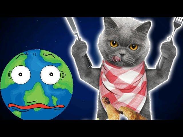 Котик Едун и съедобная планета, мультик игра Детский летсплей, Tasty Planet #3