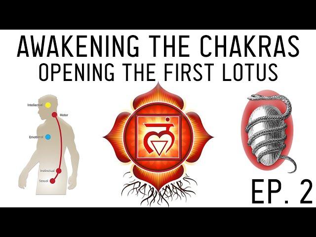 How to Awaken the Chakras: Activate the Muladhara Root Chakra (Ep. 2)