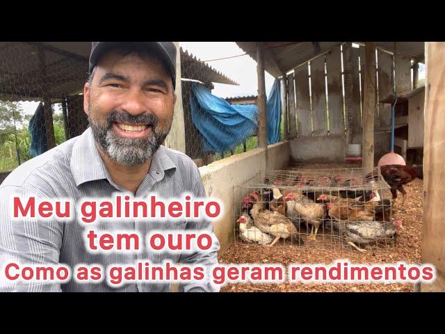 OURO NO GALINHEIRO : A RIQUEZA ESCONDIDA NA CRIAÇÃO DE GALINHAS CAIPIRAS