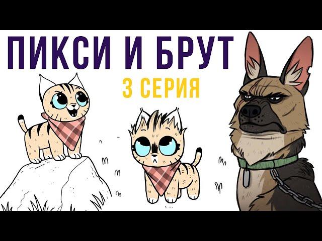 Пикси и Брут. 3 серия | Мемозг #278