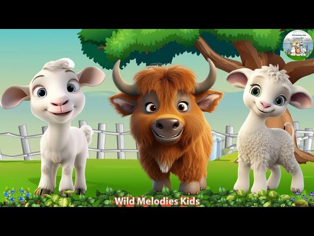 Animal Sounds: Buffalo, Goat, Sheep, Grey Crowned Crane, Monkey - Animal Videos