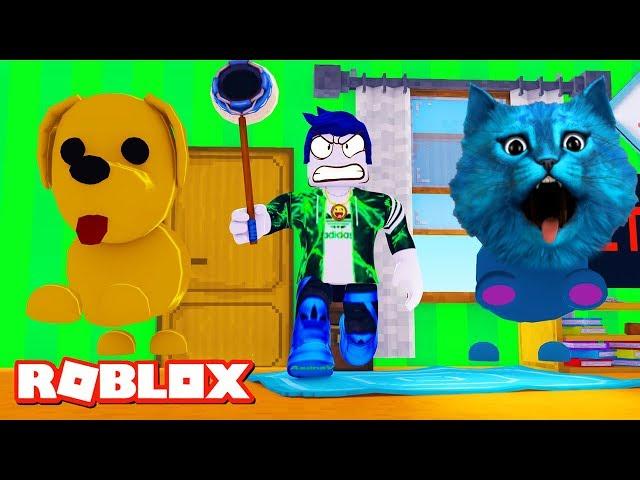  ПОБЕГ ПИТОМЦЕВ 2 в РОБЛОКС ПРЯТКИ Pet  Escape 2 ROBLOX КИРЮХА и КОТЁНОК ЛАЙК