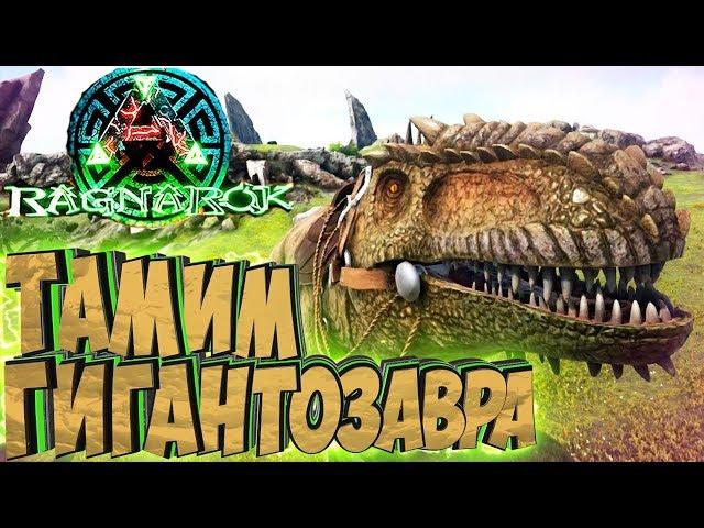 ПРИРУЧАЕМ ГИГАНТОЗАВРА, АЛОЗАВРА И ЭКВУСА - ARK Survival Evolved Выживание на Ragnarok #19