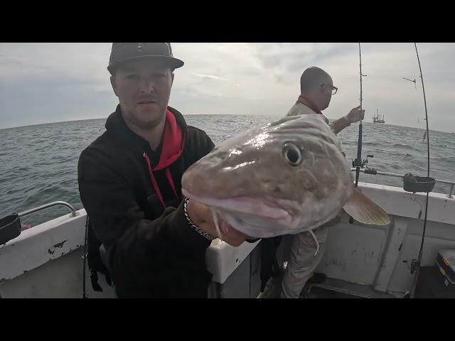 Huge Bullhuss & Cod on Deep Blue Fishing Charters Eastbourne