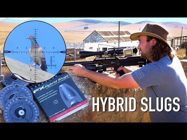 New HYBRID Slugs | Review & First Hunt!