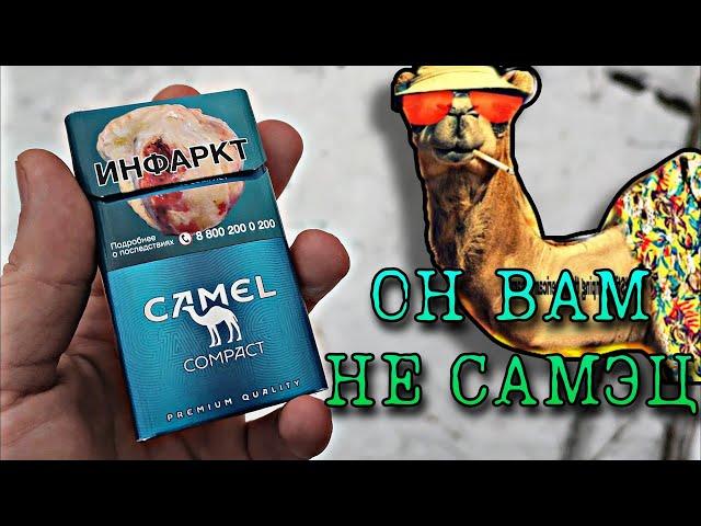 Обзор Сигарет CAMEL Compact