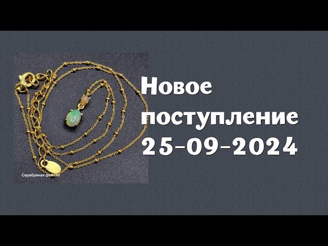 Новое поступление 25-09-2024