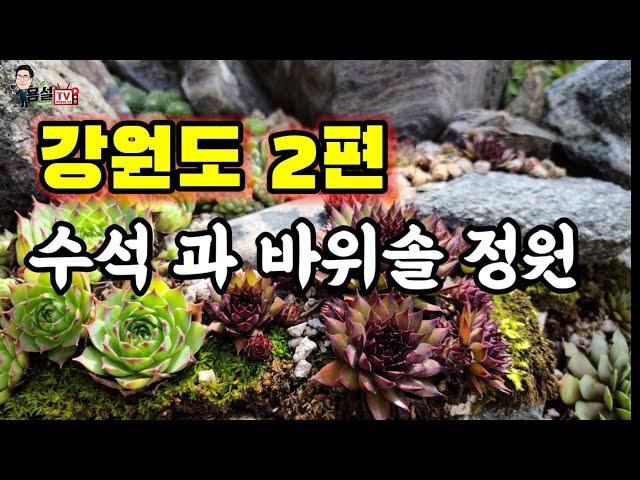 용설 ( 강원도2부 ) 수석 자연석 강돌로 만든 바위솔정원 강원도 인제군 서화면 을 소개합니다