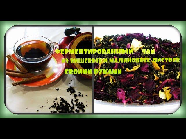 Ферментированный чай из листьев малины и вишни/своими руками/fermented tea, cherry and raspberry