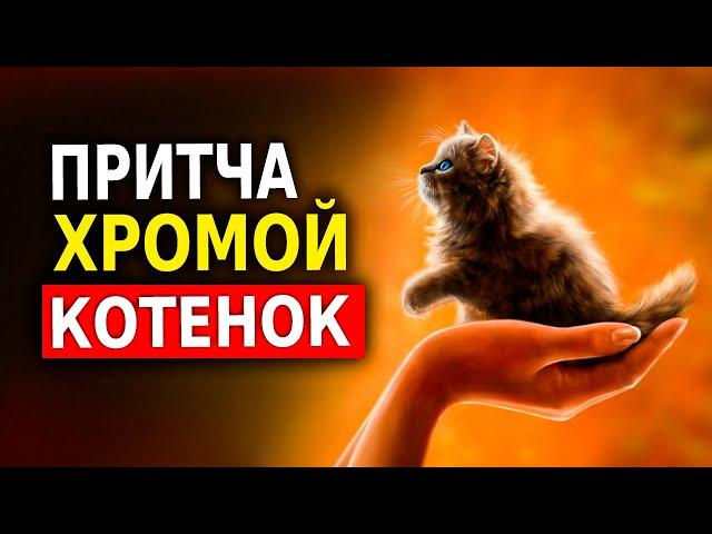 Мудрая Притча о Дружбе (Хромой Котенок) Глубокий Смысл