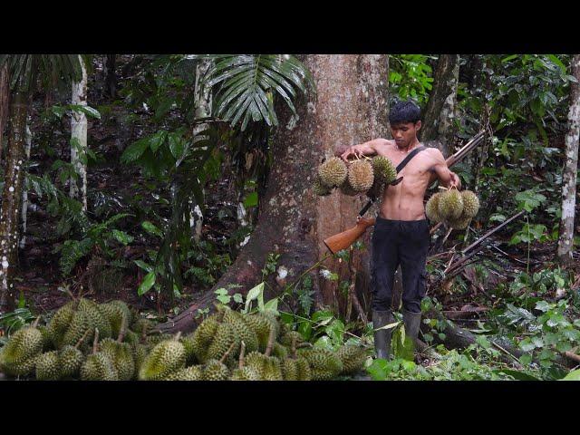 Berburu & campingsaat pencarian buah durian hutan tua khas sumatera di musim hujan