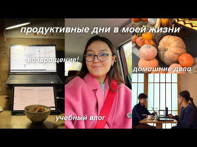 учебный влог | возвращение на канал, много домашних дел и учебы