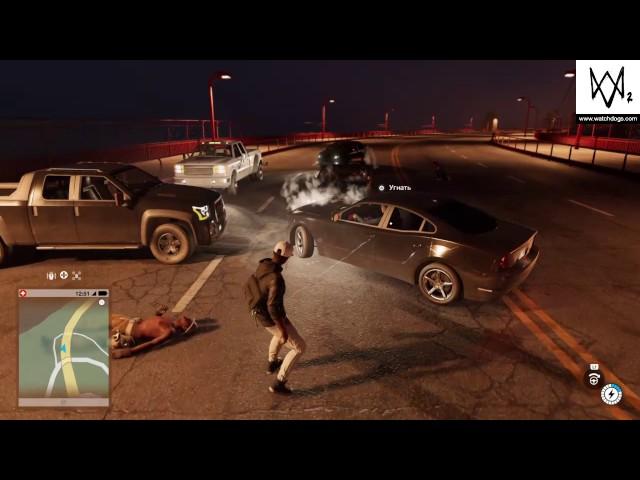 Баг в WATCH DOGS 2 после активации шороха