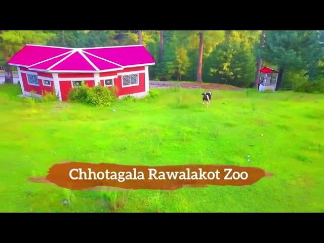 Rawalkot zoo/(sheikh production) #drone camera