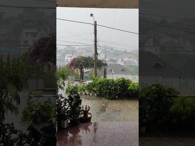 Heavy rain in Da Lat #dalat #dalatvietnam #dalatweather