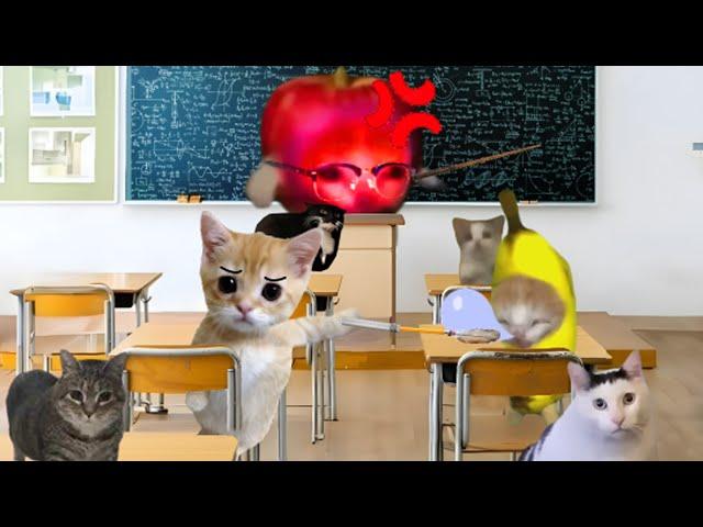 Banana Cat  Dozed off during Class[FULL EPISODE]