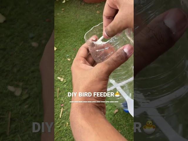 How to make easy DIY bird feeder.