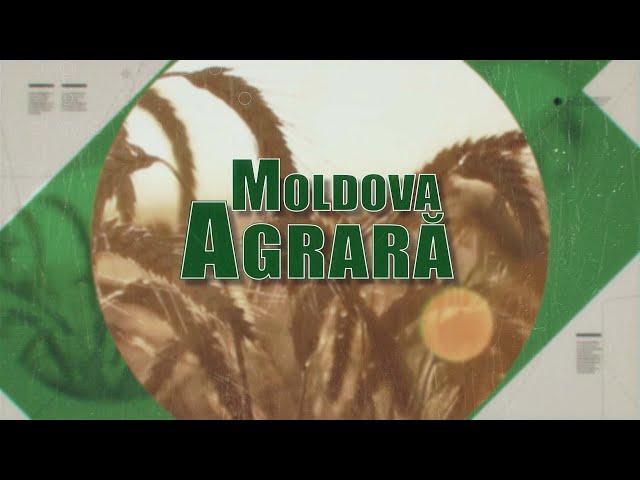 Moldova agrară din 03 11 24