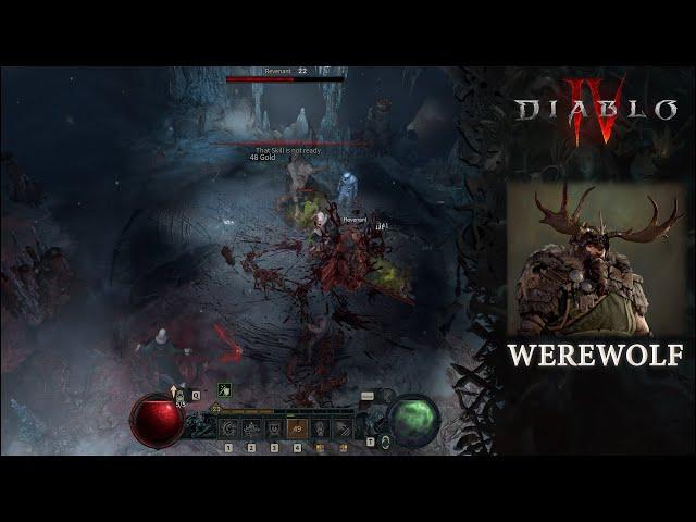 Werewolf druid build Diablo IV, shapeshifter efficience with physical and poison !