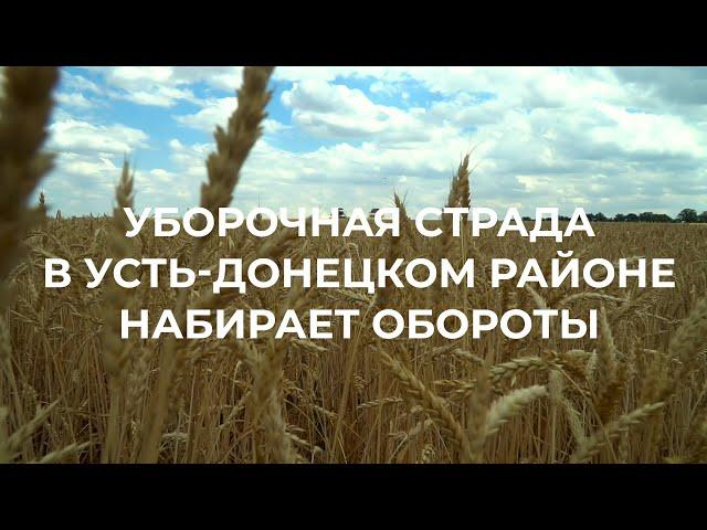 Уборочная страда в Усть-Донецком районе набирает обороты