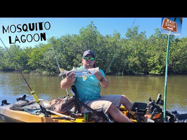 Kayak Fishing at Mosquito Lagoon with The Baitshop Boys: The Quest for Snook!