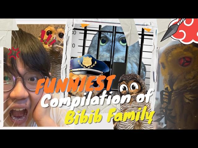 Kompilasi Video Bibib Family Terlucu Part 6 - Funniest Compilation Bibib Family Part 6