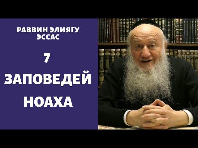 Почему слова "Семь мицвот Сынов Ноаха" Вы считаете не совсем удачными?