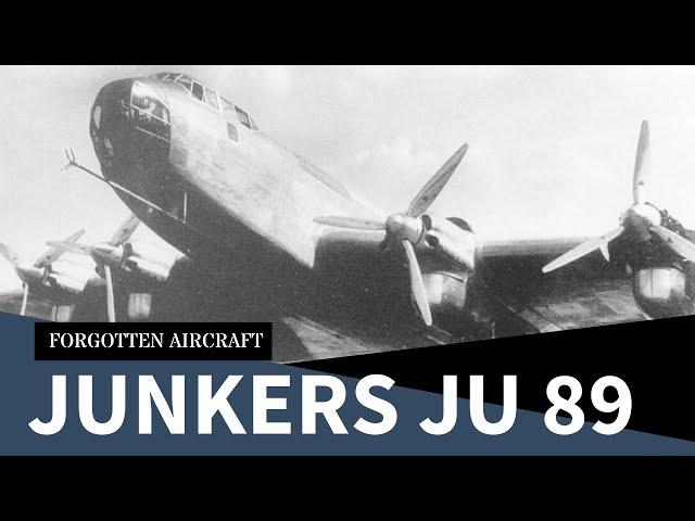 “Germany Had No Interest in Heavy Bombers” – The Junkers Ju 89