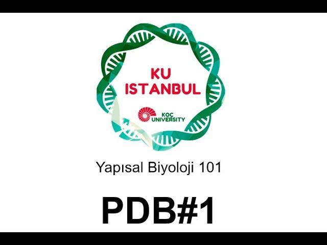 Yapısal Biyoloji 101| Protein Veri Bankası (PDB)#1