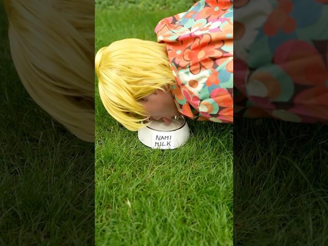 Back home (to traumatize my neighbors…) #anime #onepiece #sanji #hxh
