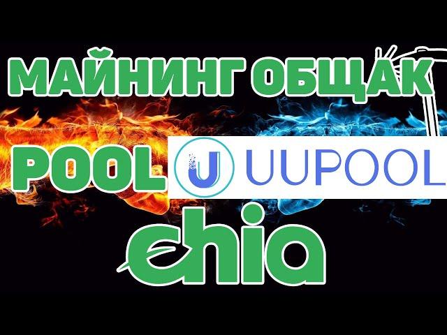 CHIA МАЙНИНГ НА ПУЛЕ UUPOOL.COM / РЕГИСТРАЦИЯ /ДОБАВЛЕНИЕ РИГА / РЕЗУЛЬТАТ