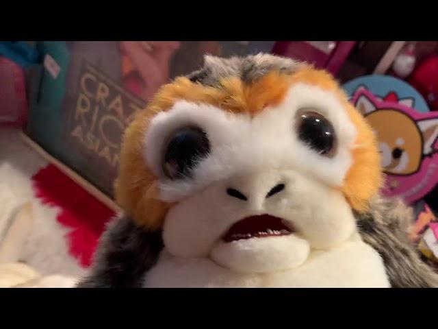 Kona Star meets The Porg