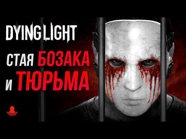 СТАЯ БОЗАКА и ТЮРЬМА в Dying Light