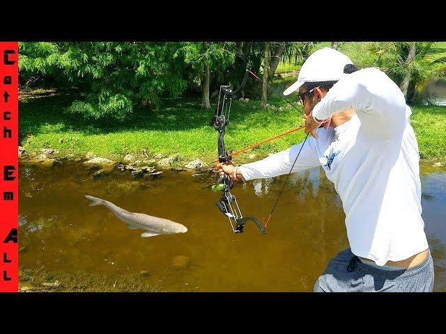 BOWFISHING for INVASIVE FISH with New HIGH-TECH BOW!