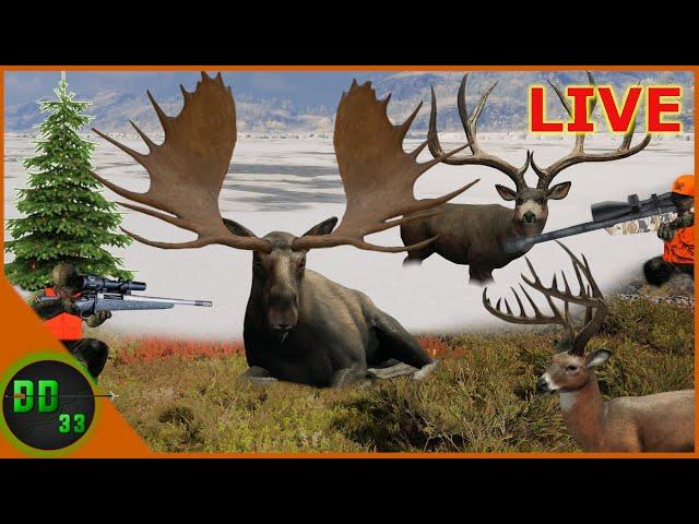 All Night Holiday Deer Hunt! LIVE Call of the Wild 2024