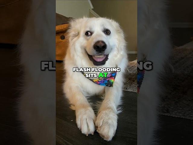 Weekend Weather: Flash Floods, Hail & Indy 500 Forecast