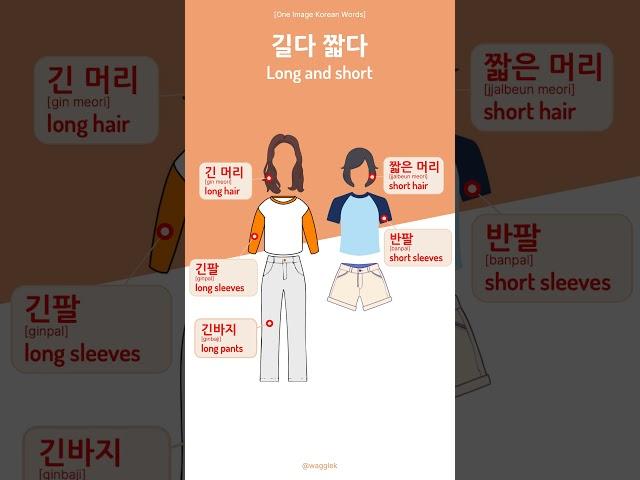 [One Picture Words] 32. 길다 짧다 : Long and short #studykorean #한국어공부 #koreanwords #koreangestures