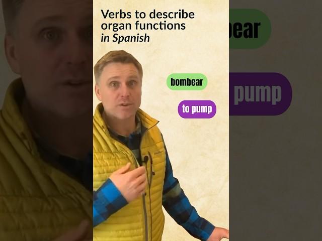 Medical Spanish: Useful verbs to talk about human body functions #spanishlessons #spanishfordoctors