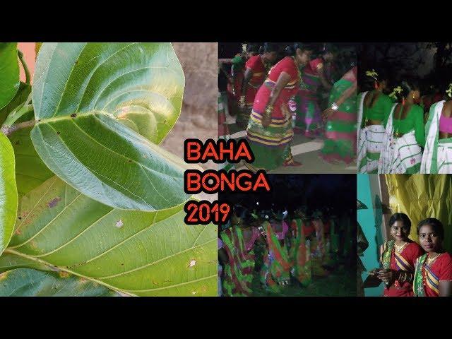 Baha bonga 2019|| Day 1 ||(santhali language)|| santhali star vlogger