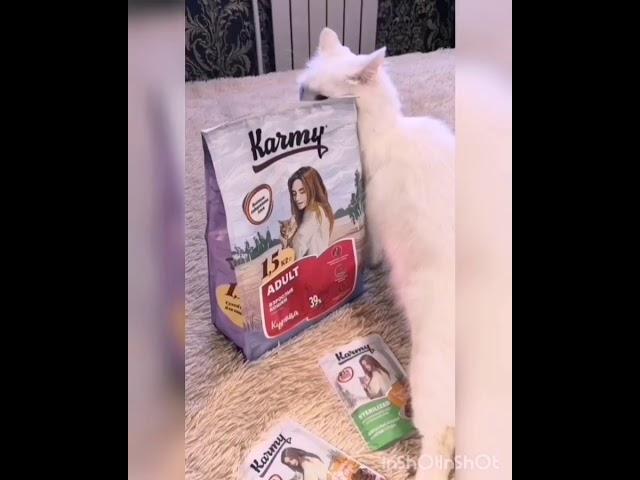 Кушаем Karmy