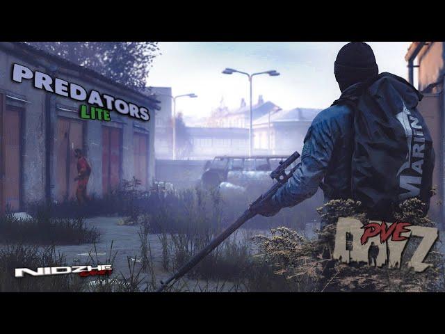 DayZ PvE ▶ В поисках ценного. Predators Lite #2