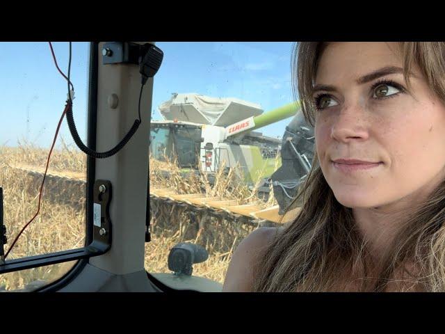 Calling It Quits | Harvest Vlog #6