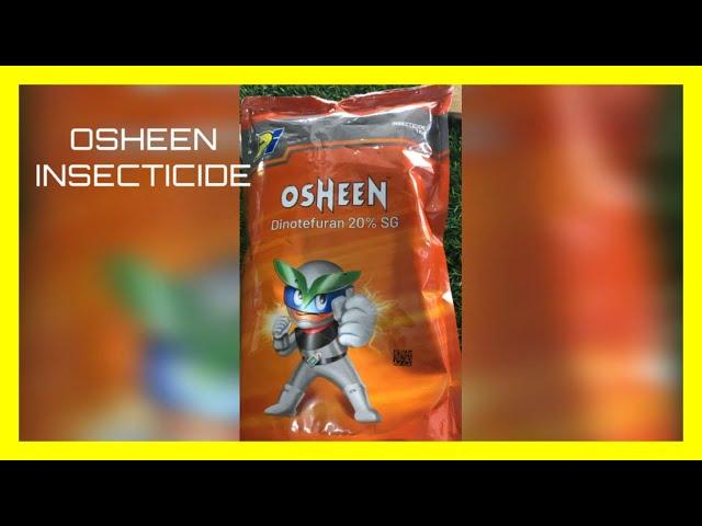 OSHEEN INSECTICIDE USAGE 2022 #rice #hopper