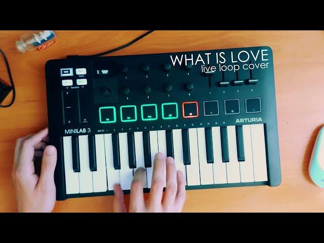 Haddaway - What Is Love (Live Loop Cover) | Minilab 3